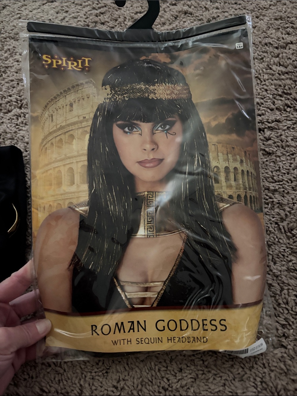 Spirit Roman Goddess Costume Wig- Black and Gold